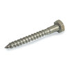 1/4" Stainless Steel Wood Lag Screw- 4 Pack