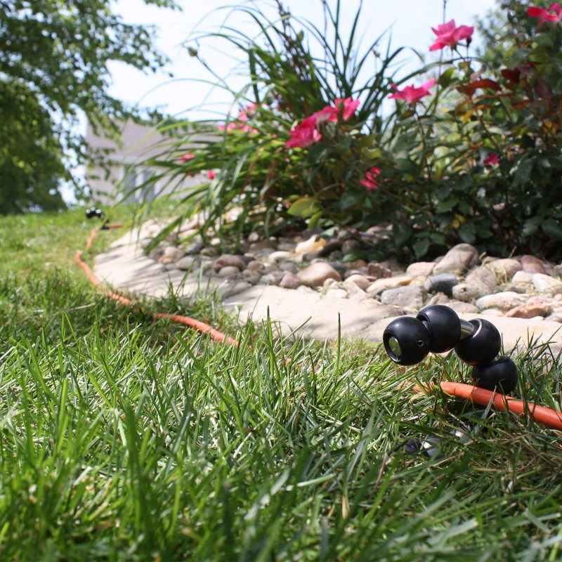 Garden Hose Guide - Image 3